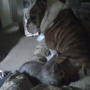 Meet your Posher, Christan